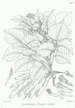 Thumbnail for version as of 10:05, 29 April 2025