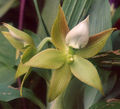 Thumbnail for version as of 11:17, 2 May 2007