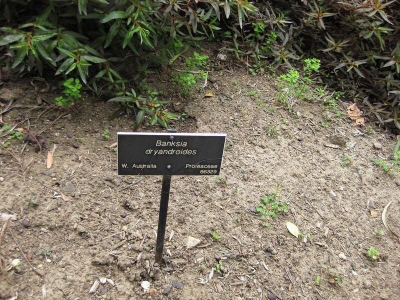 File:1280px-IMG 4730 hunt0904.jpg