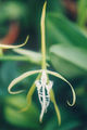 Thumbnail for version as of 11:28, 2 May 2007