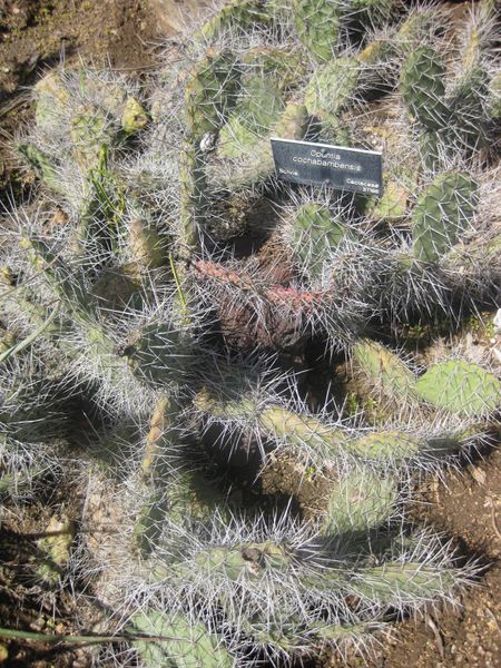 File:IMG 2317 hunt0903.jpg