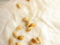 Featured here are orange seeds (pips).