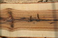 Section through trunk, showing knots