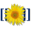 Thumbnail for version as of 10:36, 29 April 2025