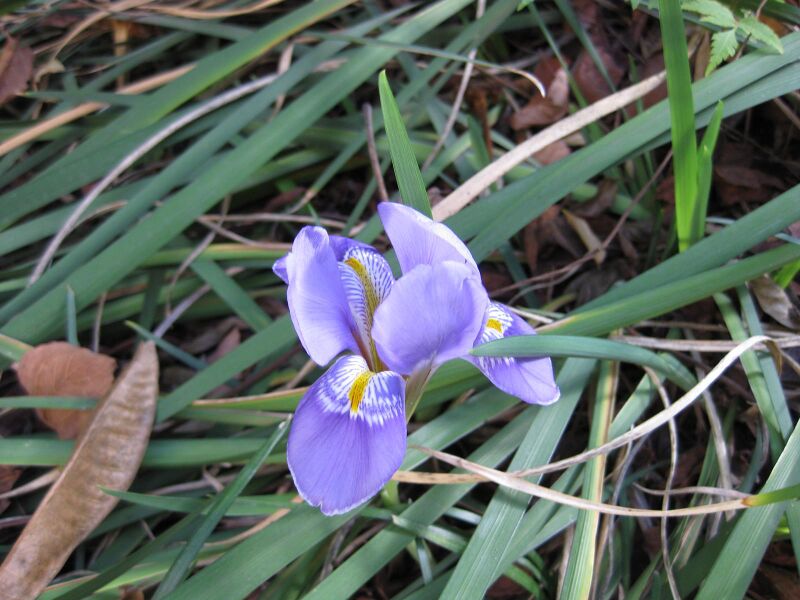 File:0m66458xd2ueceqs20qvprm262orxiz.jpg