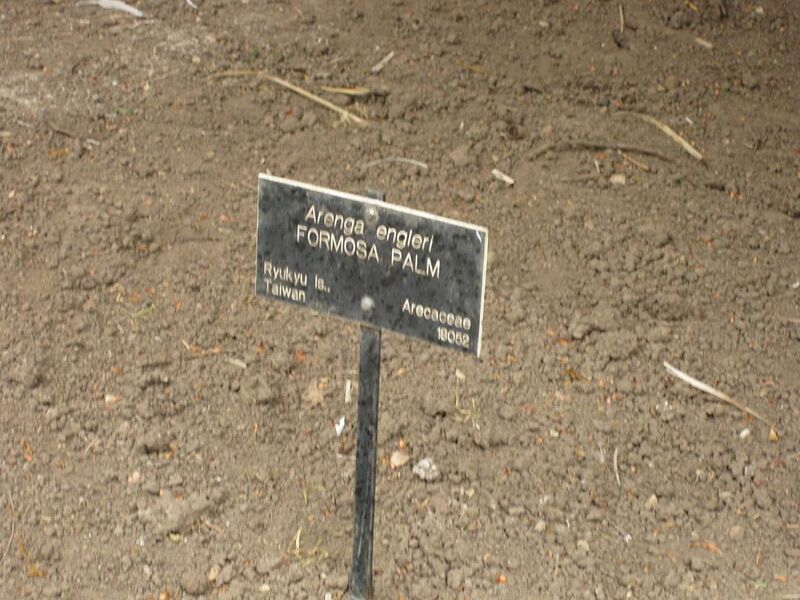 File:1024px-IMG 3881 hunt0904.jpg