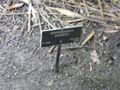 Thumbnail for version as of 09:57, 29 April 2025