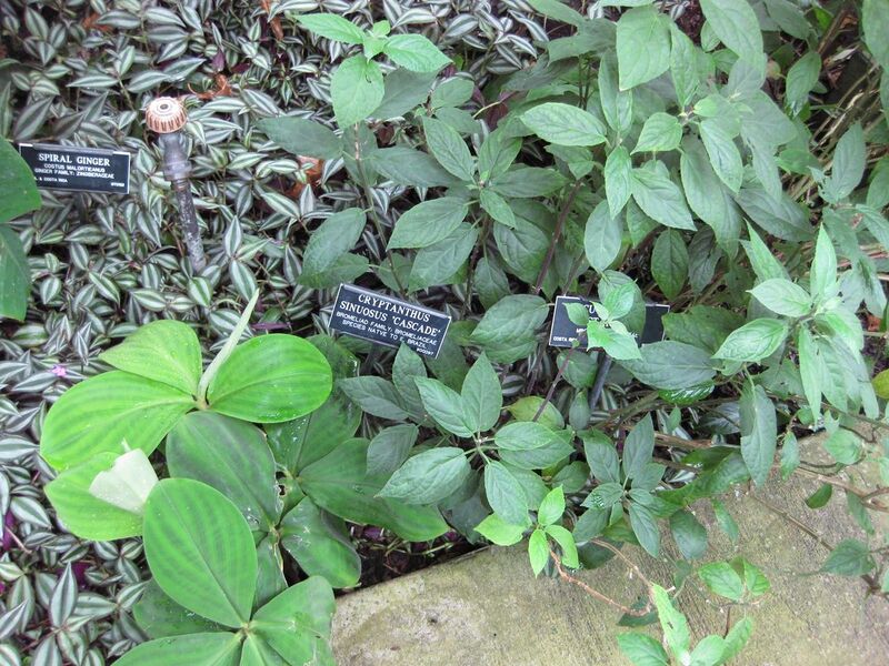 File:1280px-IMG 1190 bbg09.jpg