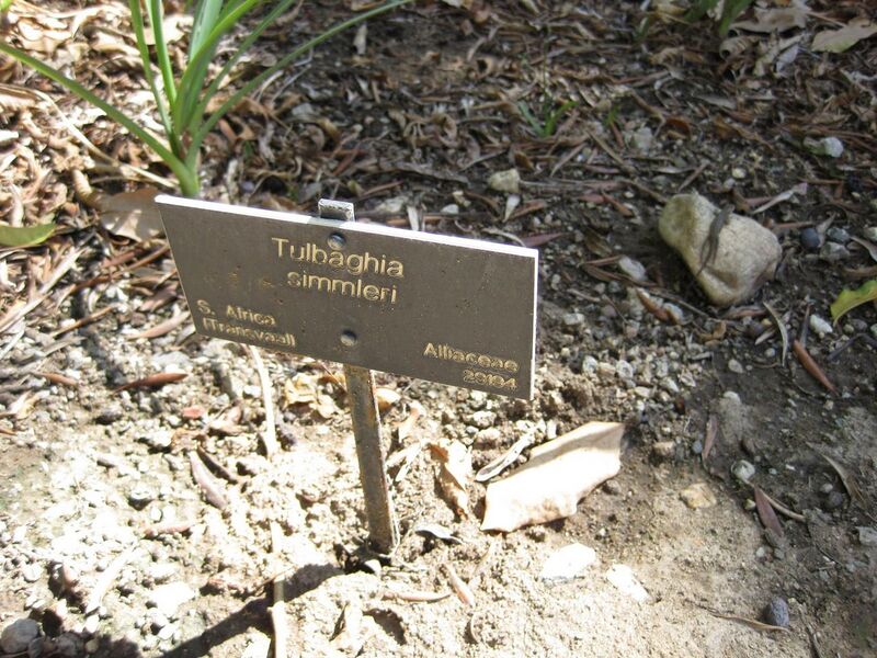 File:1280px-IMG 1883 hunt09oct.jpg