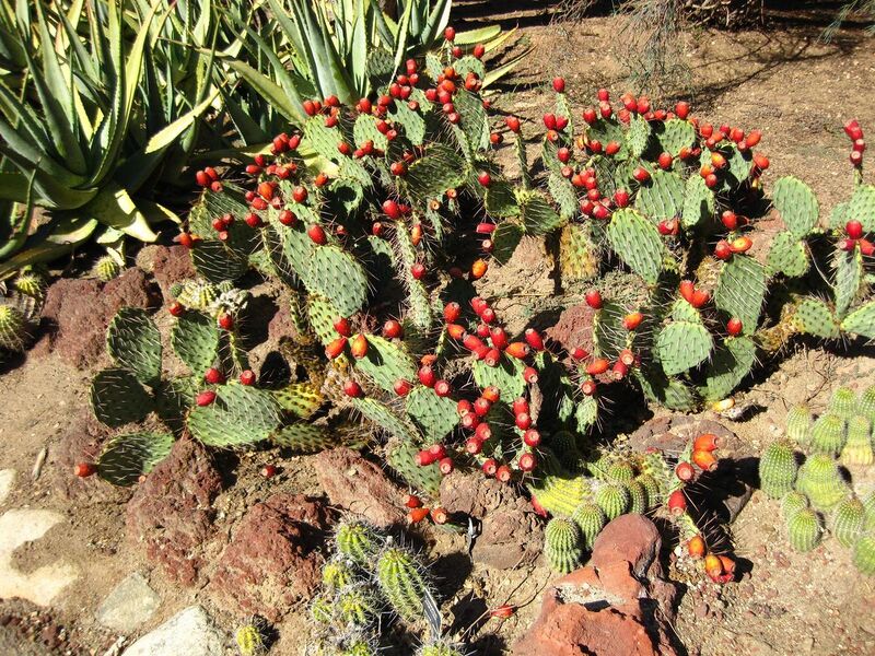 File:1280px-IMG 2096 hunt09oct.jpg