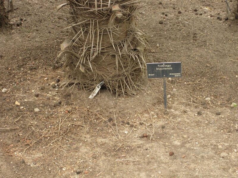 File:1280px-IMG 3996 hunt0904.jpg