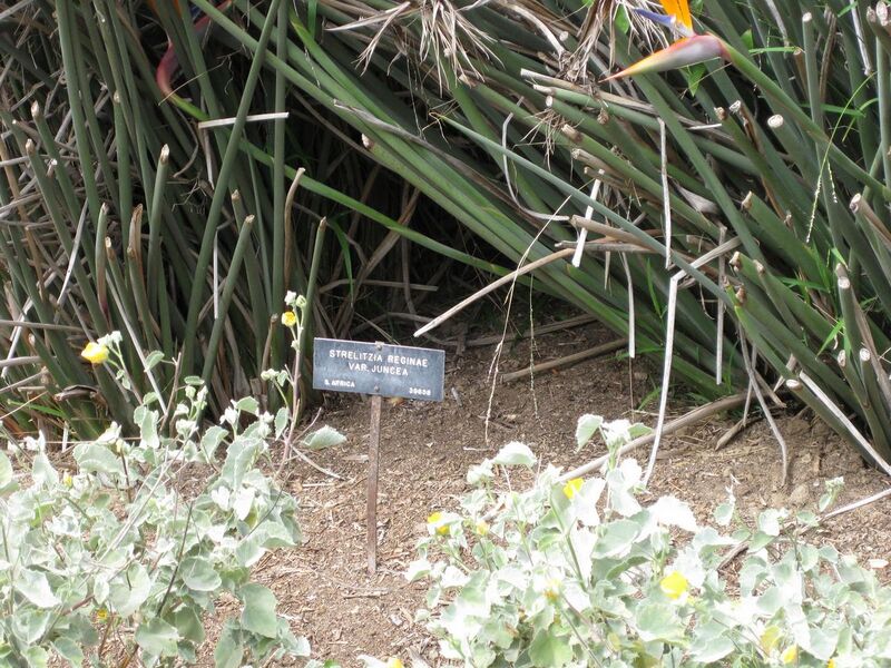 File:1280px-IMG 5080 hunt0904.jpg