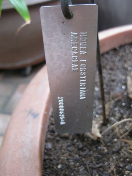 File:576px-IMG 1024 bbg09.jpg