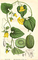 Thumbnail for version as of 08:56, 29 April 2025