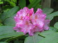 Thumbnail for version as of 10:06, 12 May 2007