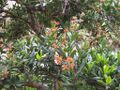 Thumbnail for version as of 10:28, 29 April 2025
