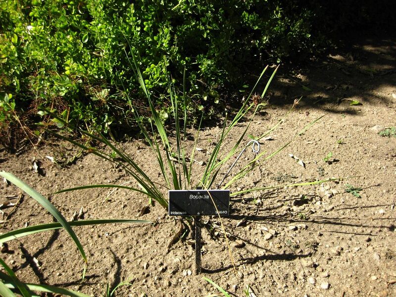 File:1280px-IMG 2074 hunt09oct.jpg