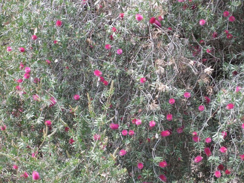 File:1280px-IMG 4510 hunt0904.jpg