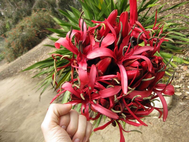 File:1280px-IMG 4767 hunt0904.jpg