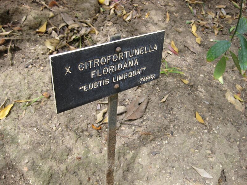 File:1280px-IMG 4980 hunt0904.jpg