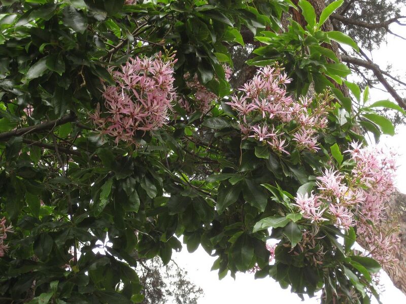 File:1280px-IMG 6971 hunt09jun.jpg