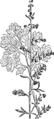 Thumbnail for version as of 10:13, 29 April 2025