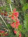 Thumbnail for version as of 10:32, 29 April 2025