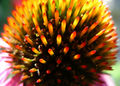Thumbnail for version as of 05:52, 14 October 2007