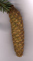 Thumbnail for version as of 06:57, 16 November 2007