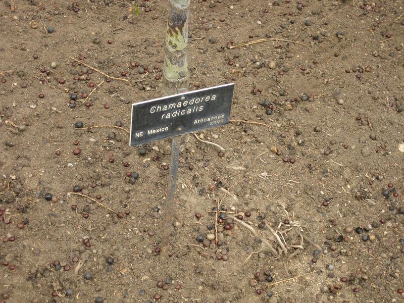 File:1024px-IMG 3958 hunt0904.jpg
