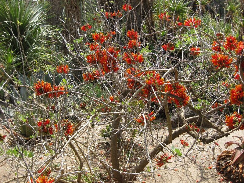 File:1280px-IMG 4326 hunt0904.jpg