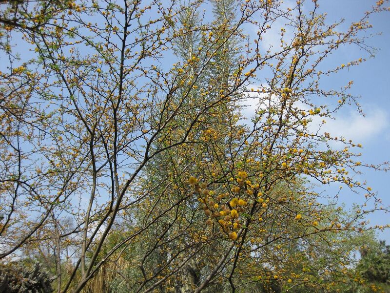 File:1280px-IMG 4376 hunt0904.jpg