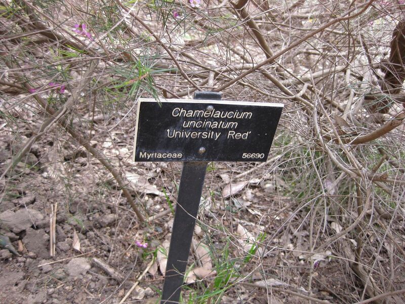 File:1280px-IMG 5083 hunt0904.jpg