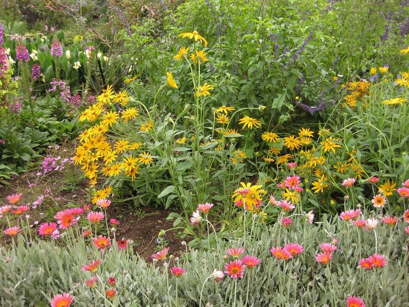 File:1280px-IMG 6858 hunt09jun.jpg