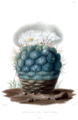 Thumbnail for version as of 09:02, 29 April 2025
