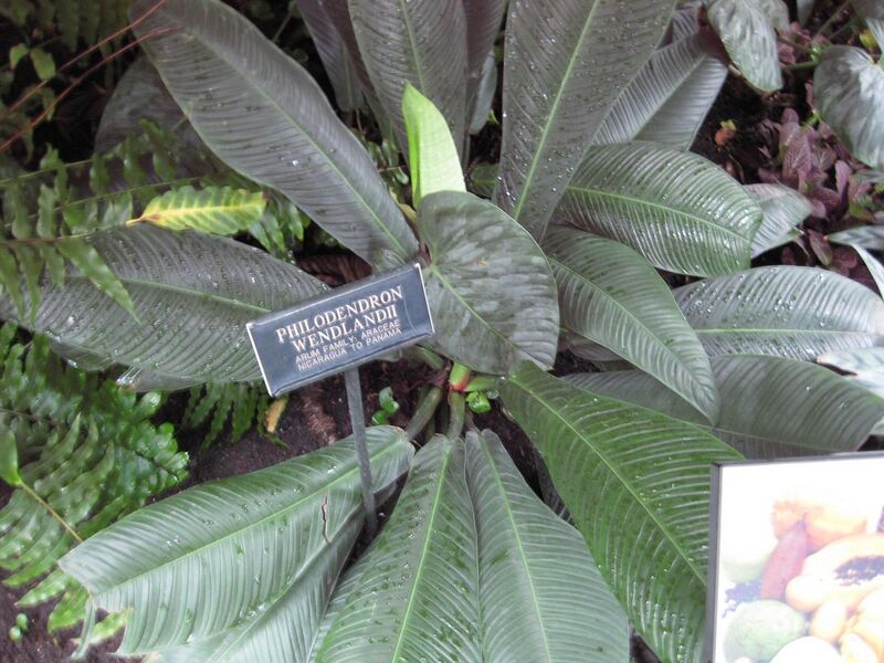 File:1280px-IMG 1140 bbg09.jpg