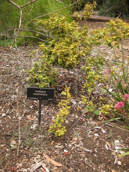 File:576px-IMG 7183 hunt09jun.jpg