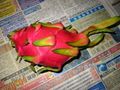 Red-skinned pitaya fruit (Hylocereus undatus)