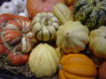 Various squashes such as Turban, Sweet Dumpling, Carnival, Gold Acorn, Delicata, Buttercup and Golden Nugget.