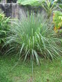 Thumbnail for version as of 06:32, 20 October 2007