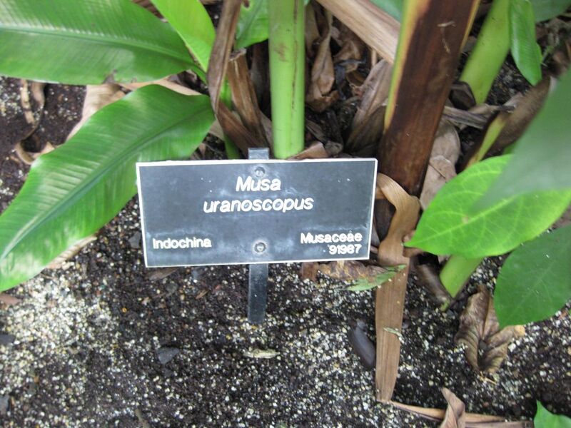 File:1280px-IMG 1796 hunt09oct.jpg