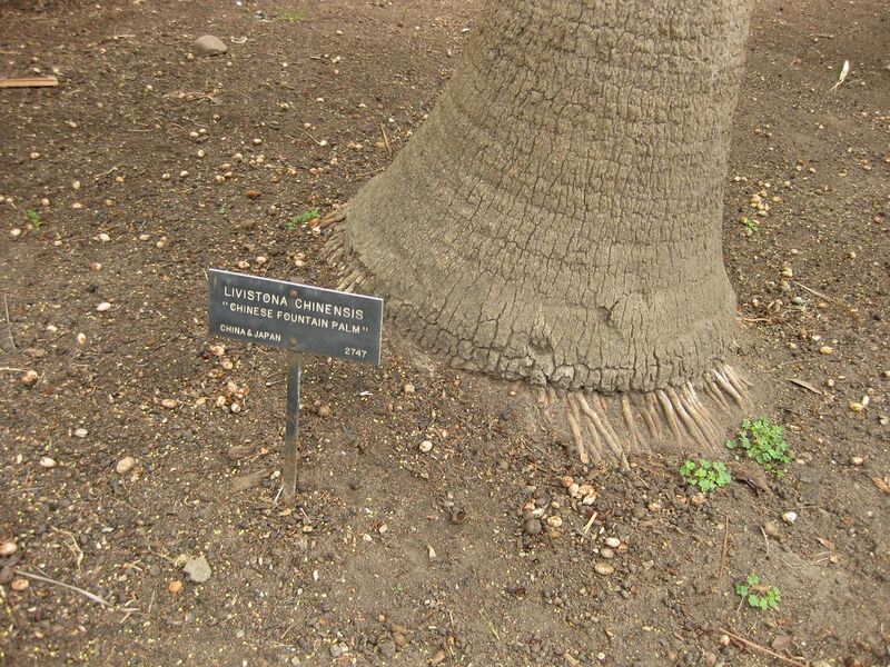 File:1280px-IMG 4069 hunt0904.jpg