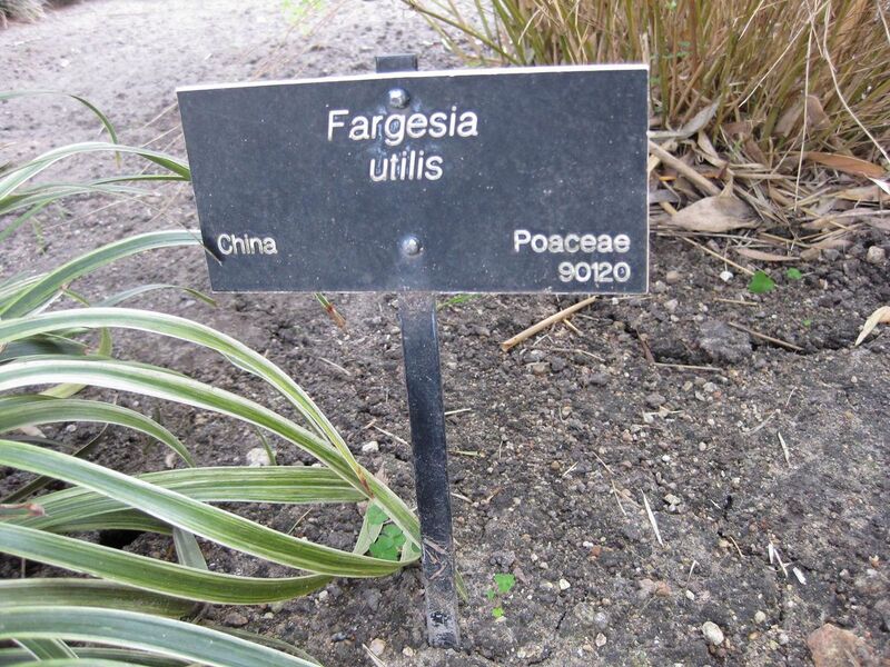 File:1280px-IMG 4209 hunt0904.jpg