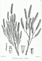 Thumbnail for version as of 09:17, 29 April 2025
