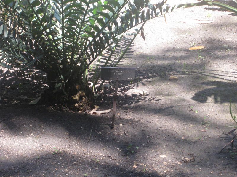 File:IMG 2026 hunt0903.jpg