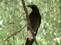Thumbnail for version as of 12:34, 5 May 2007