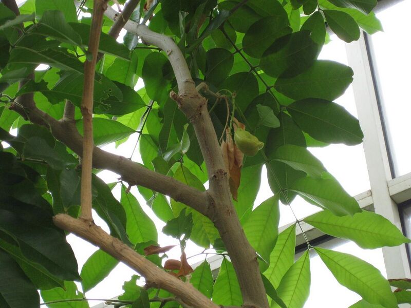 File:1280px-IMG 0975 bbg09.jpg