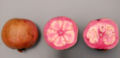 'Thai Maroon' guava