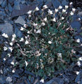 Thumbnail for version as of 04:50, 19 August 2007