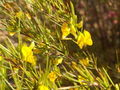 Thumbnail for version as of 11:43, 3 November 2007